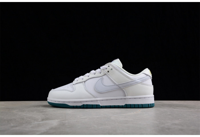 nike sb dunk low  fd9911-101