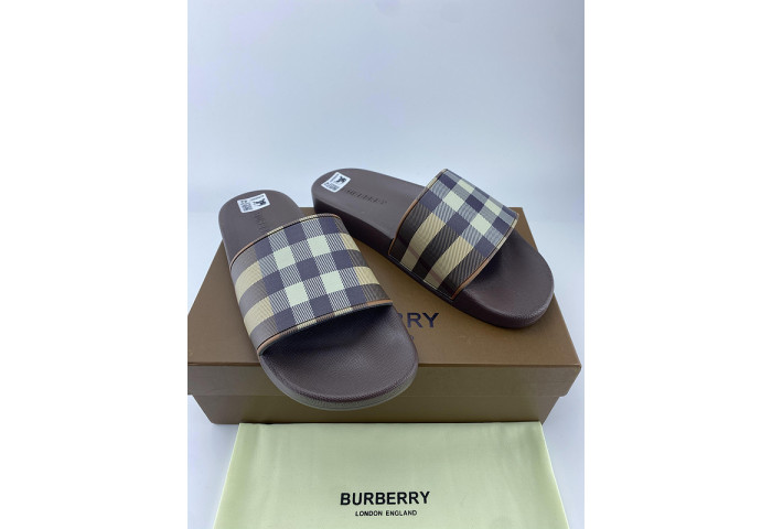 bur slide  burl-005