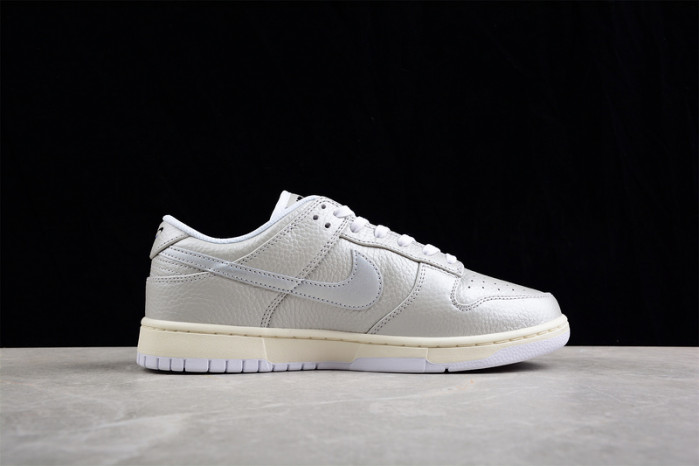 nike sb dunk low  dx3197-095