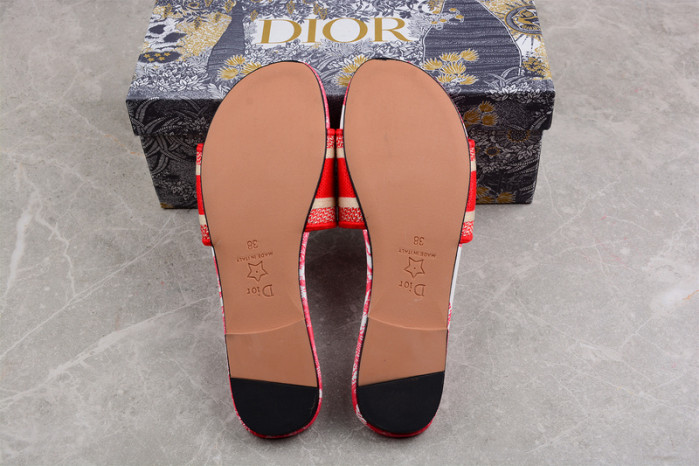 D*or slides ds-003