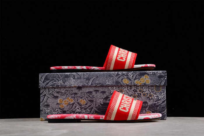 D*or slides ds-003